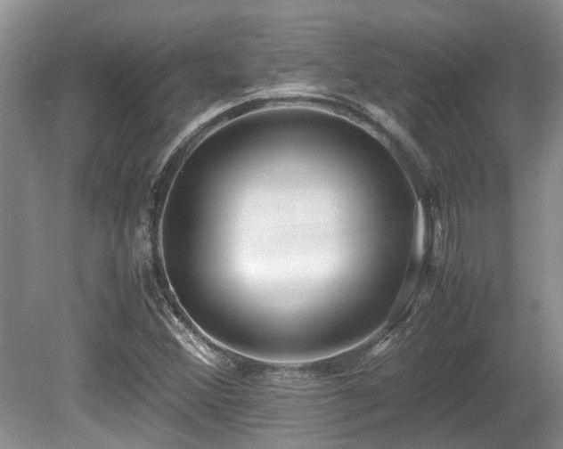 X0000080701356200612151304