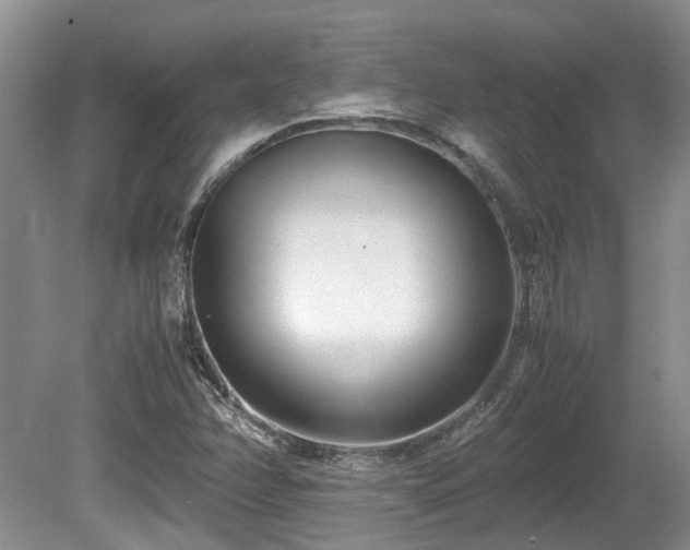X0000080701358200612151304