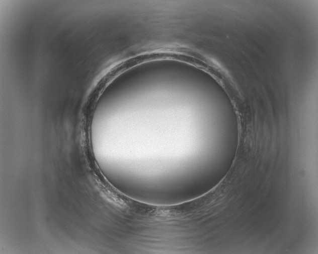 X0000080701360200612151304