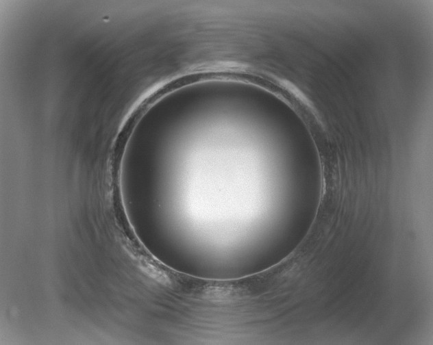 X0000080701364200612151304