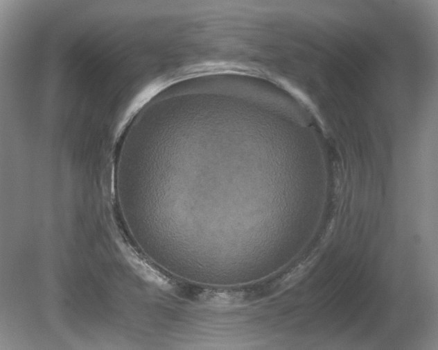 X0000080701365200612151304