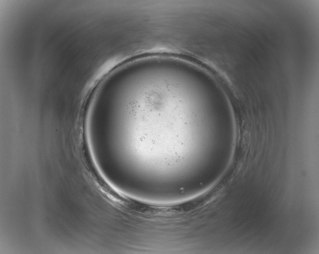 X0000080701367200612151304