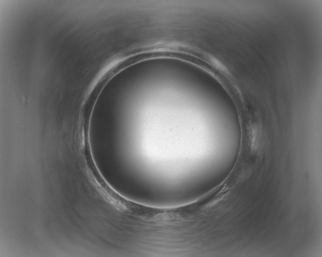 X0000080701368200612151304