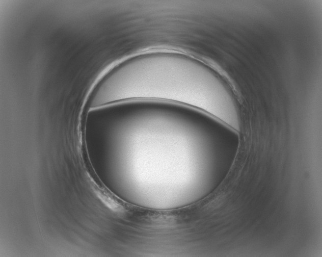 X0000080701372200612151303