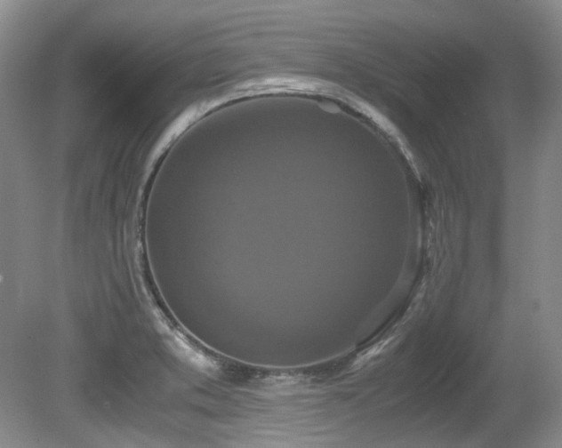 X0000080701373200612151303