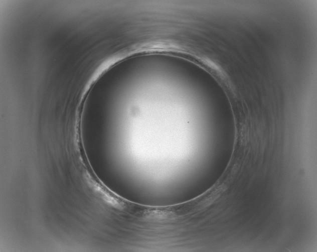 X0000080701374200612151303
