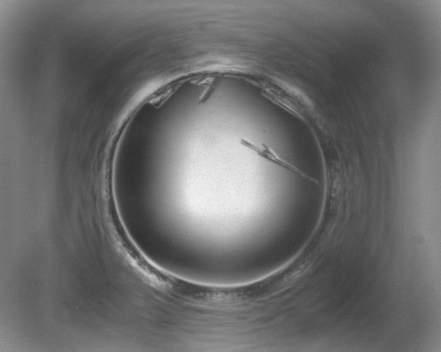 X0000080701375200612151303