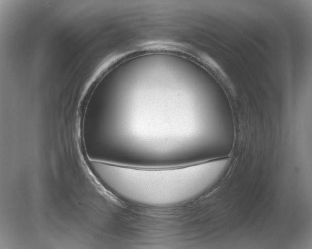 X0000080701376200612151303