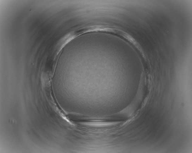 X0000080701377200612151303