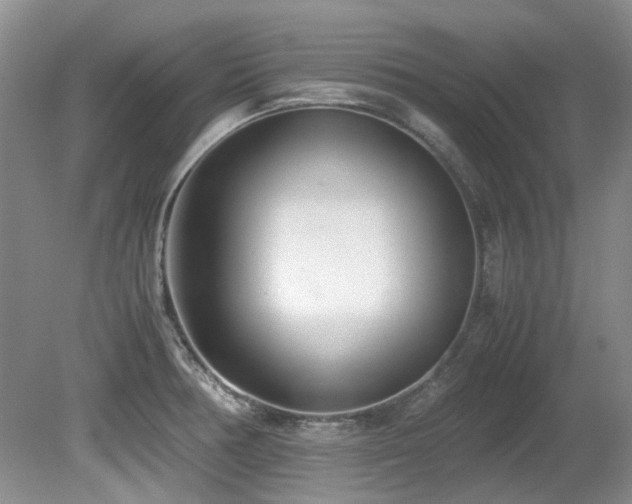 X0000080701378200612151303
