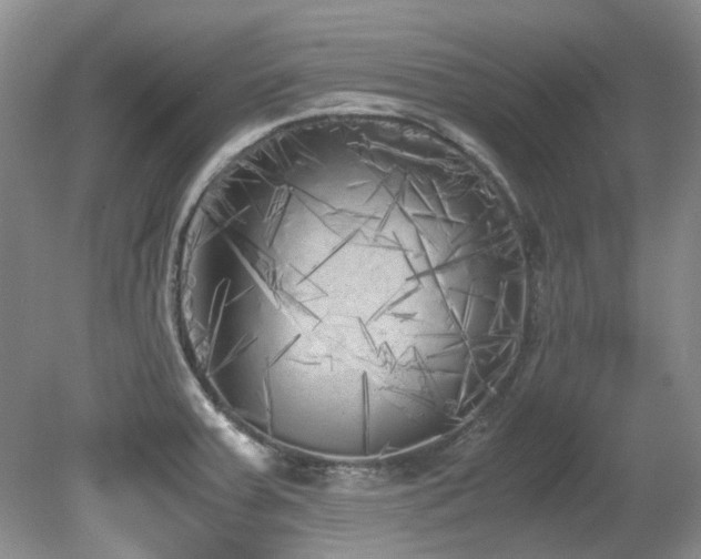 X0000080701379200612151303
