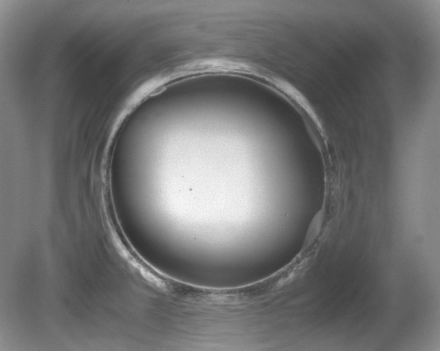 X0000080701381200612151303