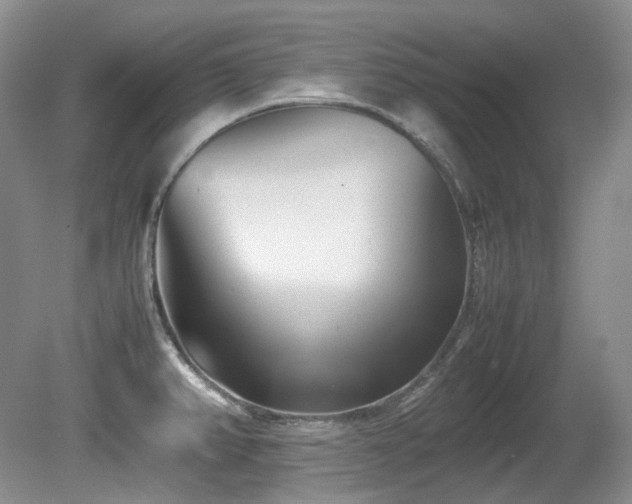 X0000080701382200612151303