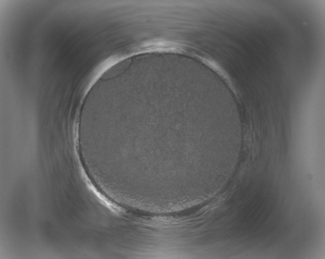 X0000080701383200612151303