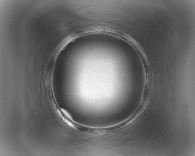X0000080701385200612151303