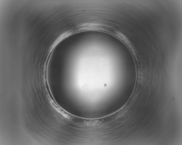 X0000080701386200612151303