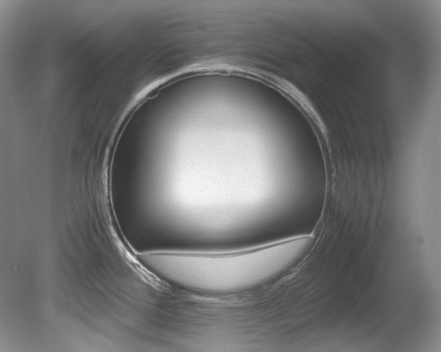 X0000080701388200612151303
