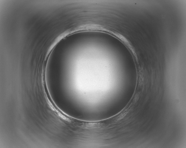 X0000080701390200612151303