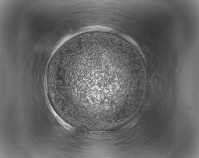 X0000080701391200612151303