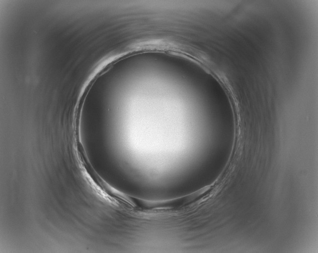 X0000080701392200612151303