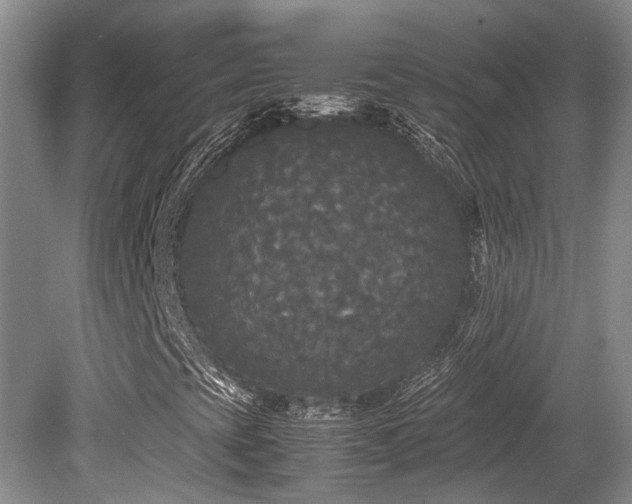 X0000080701393200612151302