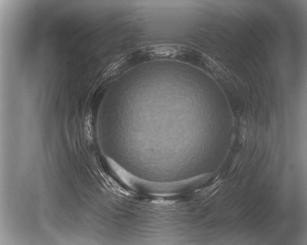 X0000080701394200612151302