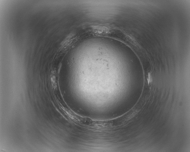 X0000080701396200612151302