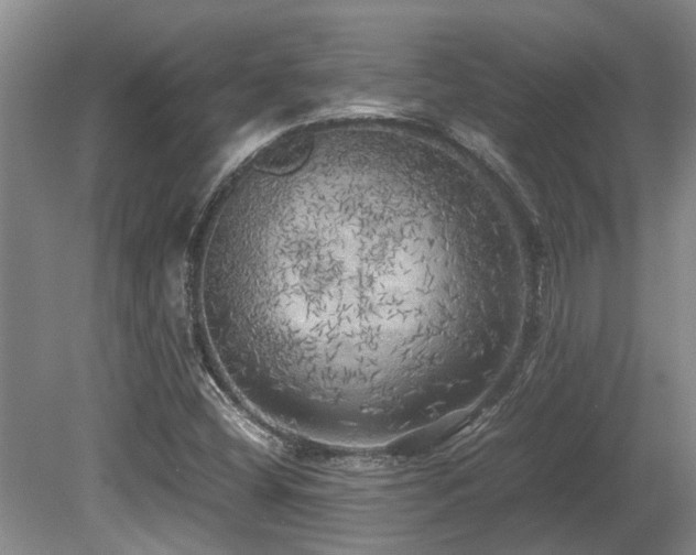 X0000080701404200612151303