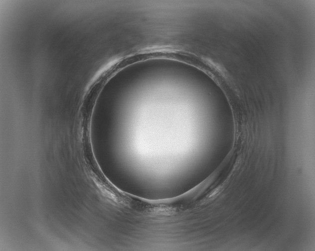 X0000080701406200612151303