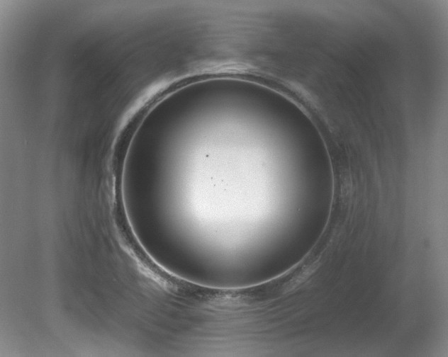 X0000080701414200612151303