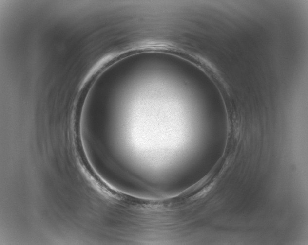 X0000080701422200612151303