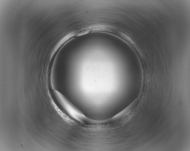 X0000080701426200612151303