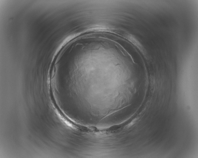 X0000080701428200612151303