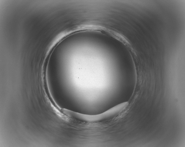 X0000080701430200612151303