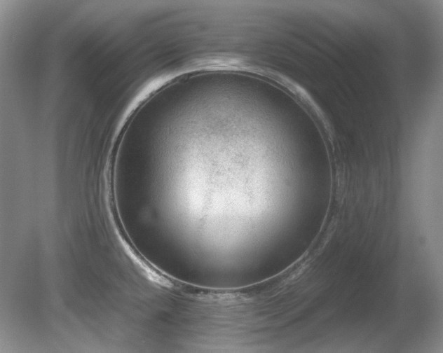 X0000080701432200612151303