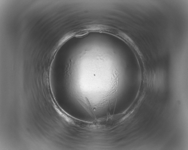 X0000080701433200612151303