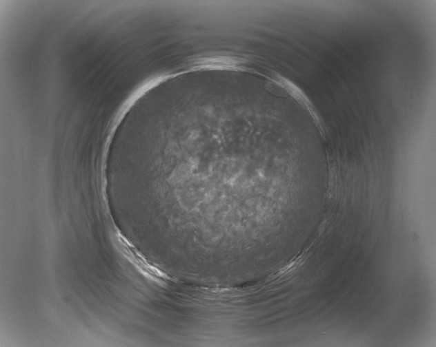 X0000080701435200612151303