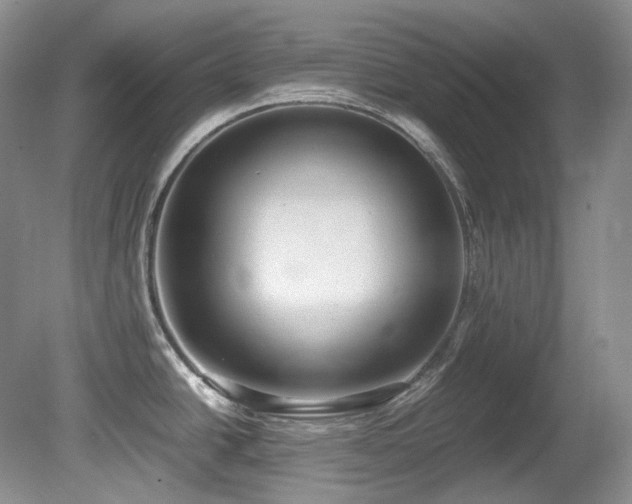 X0000080701438200612151303