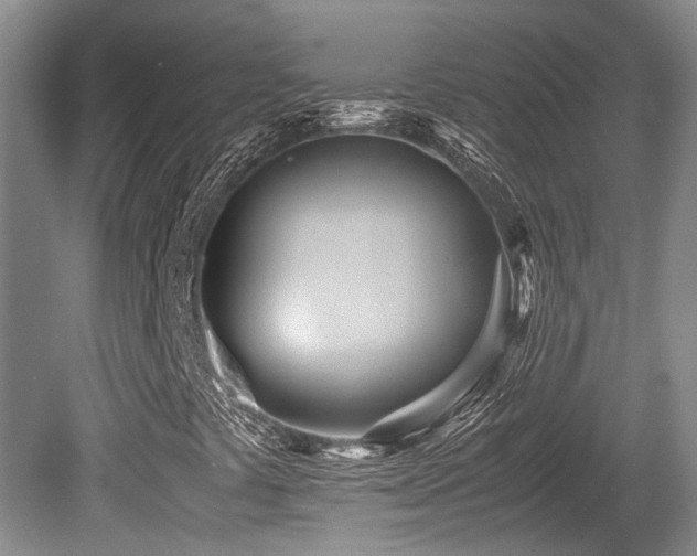 X0000080701441200612151302