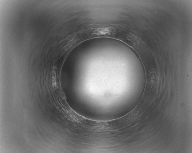 X0000080701442200612151302