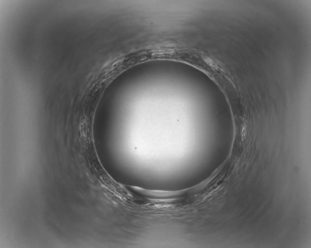 X0000080701445200612151302