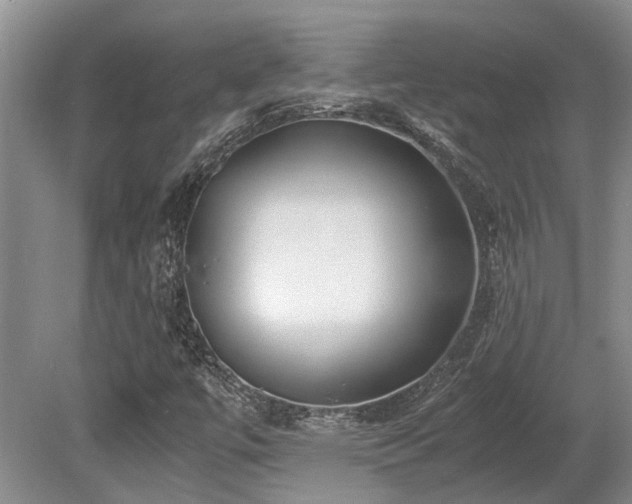X0000080701447200612151302