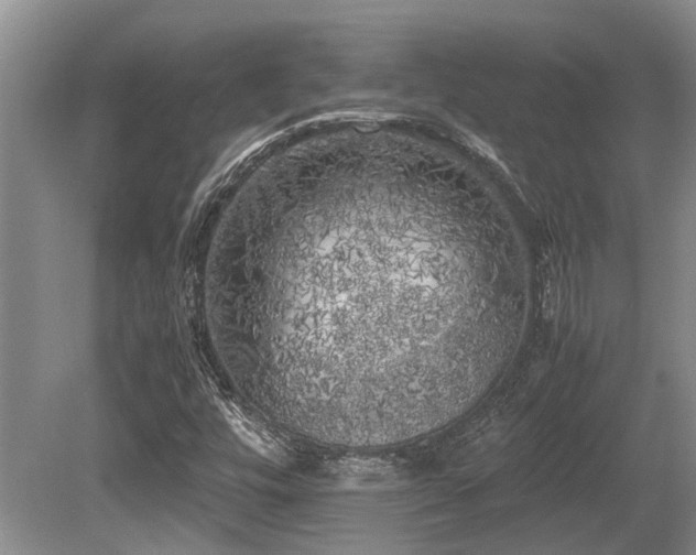 X0000080701448200612151302