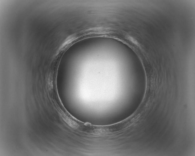 X0000080701451200612151302