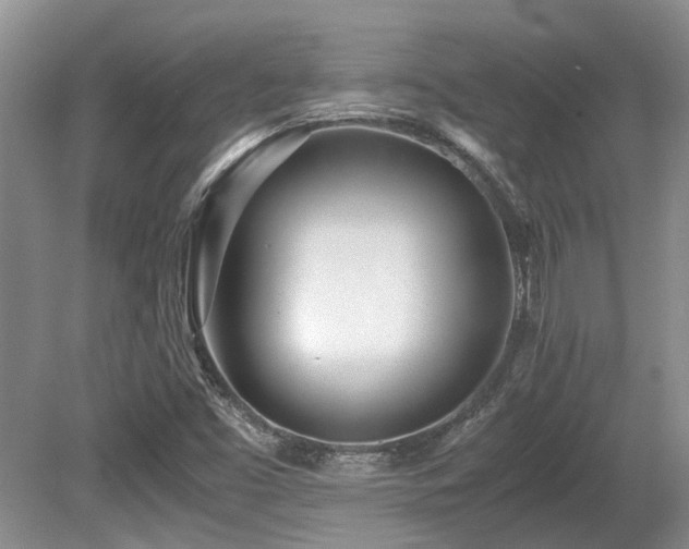 X0000080701453200612151302