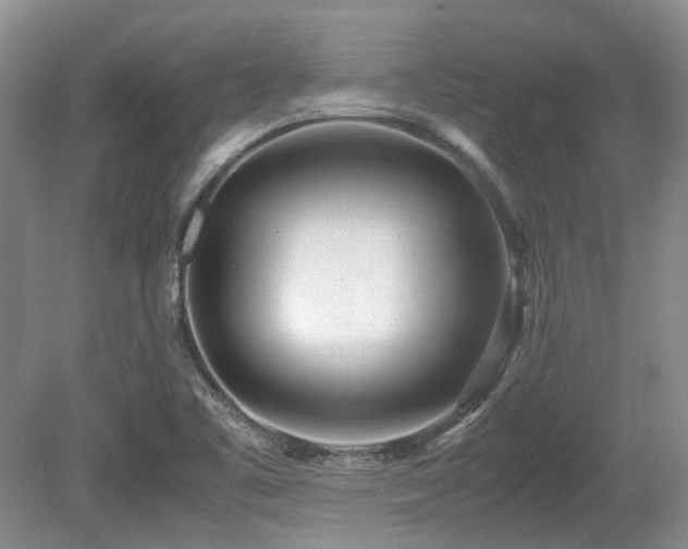 X0000080701461200612151302