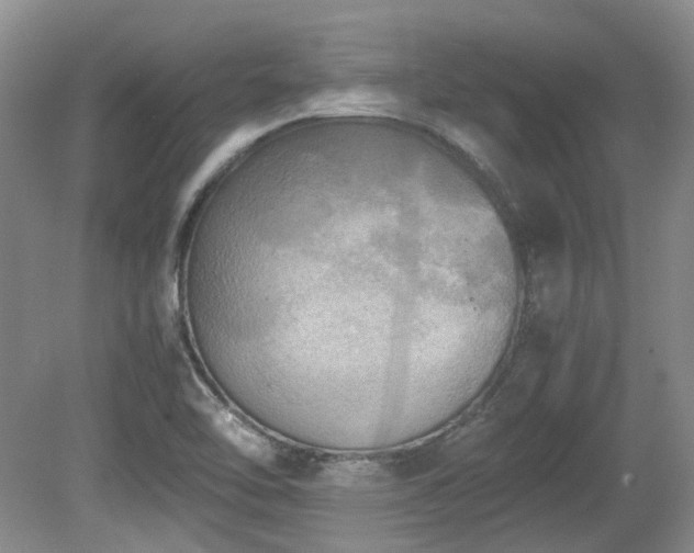 X0000080701462200612151302