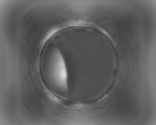 X0000080701463200612151302