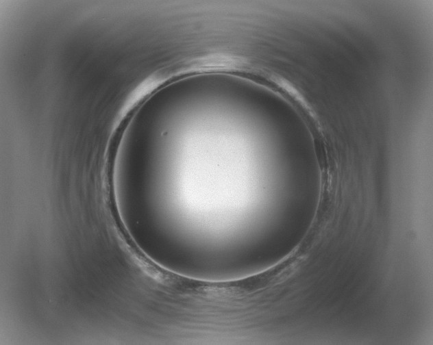 X0000080701469200612151302