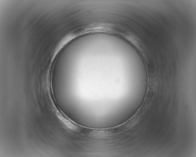 X0000080701474200612151302
